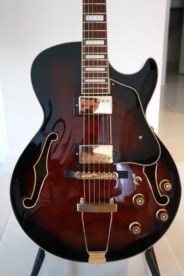 Ibanez AG95