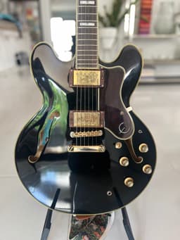 Epiphone Sheraton II Pro